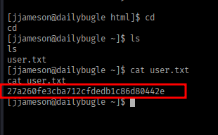 user.txt retrieved