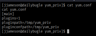 Creating yum.conf to point at the custom plugin directory