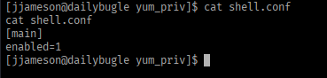 Creating the plugin .conf file to enable it