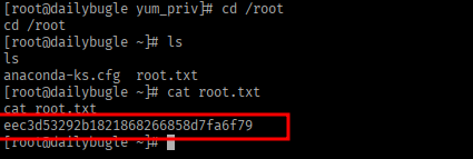 root.txt retrieved