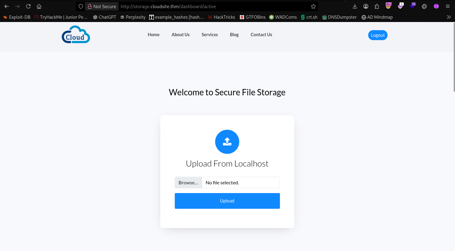 Logged-in dashboard after mass assignment exploit