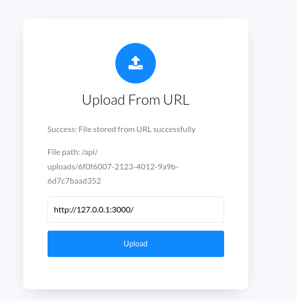 Internal port 3000 response — Express server detected