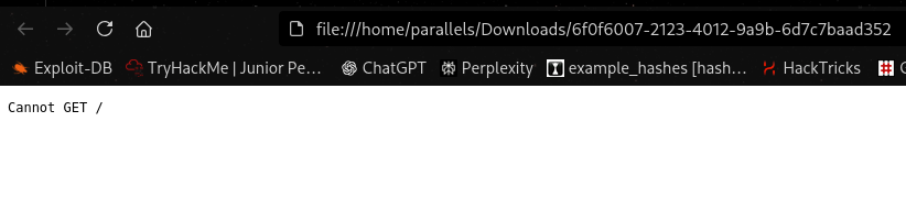 Internal port 3000 response — Express server detected